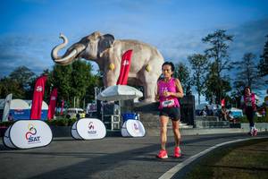 BIB: 
                            <button type="button" onclick="openModal(26541725)" class="btn btn-primary btn-sm float-right btn-popup" data-toggle="modal" data-target=".modal-high-quality">
                        <i class="fas fa-shopping-cart"></i> Add to Cart
                    </button>
                                            <button type="button" onclick="isThisMe(26541725, true)" class="btn btn-success btn-sm float-right btn-popup btn-isme hidden" data-toggle="tooltip" data-placement="bottom" title="นี่คือรูปของคุณใช่ไหม คลิกที่นี่เพื่อเอาเข้าอัลบั้ม">
                        <i class="fas fa-plus"></i> Add to album
                    </button>
                    <button type="button" onclick="isThisMe(26541725, false)" class="btn btn-warning btn-sm float-right btn-popup btn-isnotme hidden">
                        <i class="fas fa-ban"></i> Remove from album
                    </button>